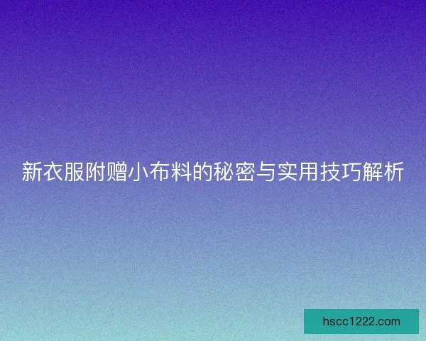 新衣服附赠小布料的秘密与实用技巧解析