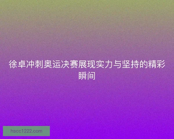 徐卓冲刺奥运决赛展现实力与坚持的精彩瞬间